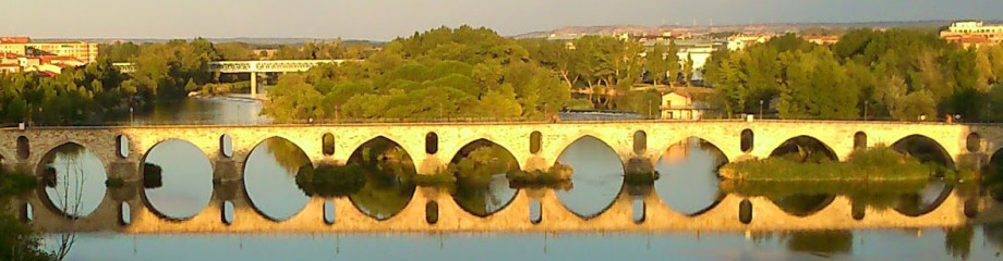 Floristería en Zamora